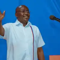 No talent should be left out of 2028 campaign - Bawumia
